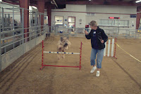 DSCF3143.JPG