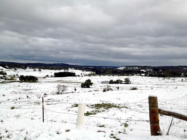 snow-bungendore.jpg