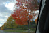 16-Saturday Drive