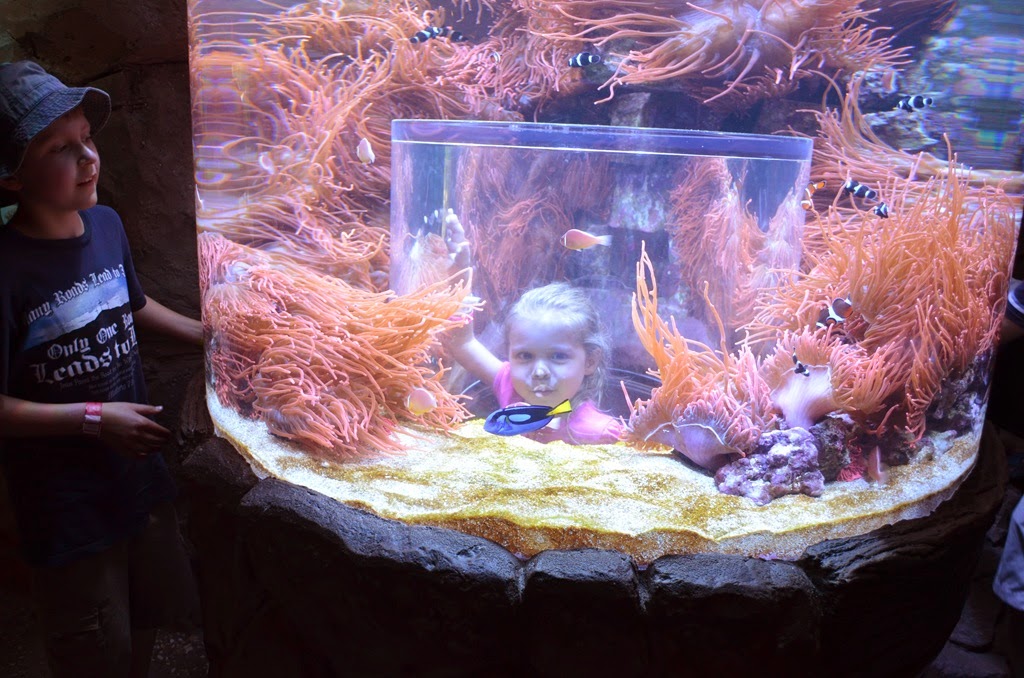 [DSC_8496%255B3%255D.jpg]