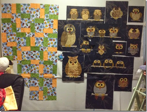 owls a plenty