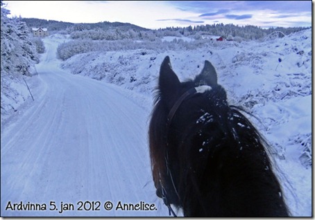 2012-ardvinna5jan_01