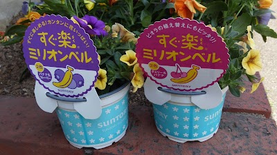2014-05-02 12.50.14.jpg