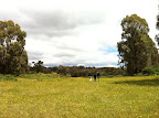 Dec 7 - On the Farm