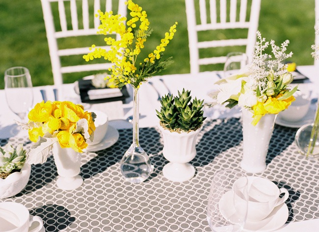 [39290ju76-E023-lane-dittoe4.jpg]