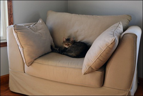 martin in the chair