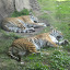 Florida08 097.jpg
