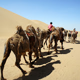 Hohhot (China)