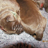 IMG_1145.JPG
