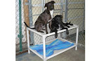 Check with your local shelter to see if they need beds, and if they are signed up for this program.