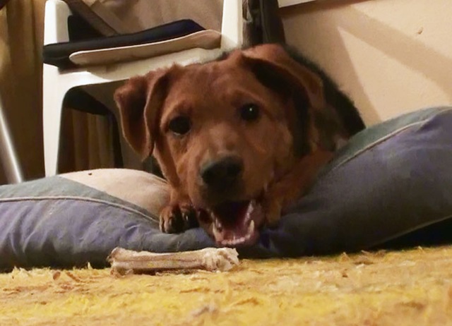 [apollo4%255B4%255D.jpg]