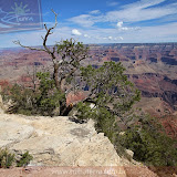 O magnífico, Grand Canyon - AZ