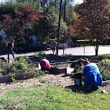 Catholic Worker Service Project