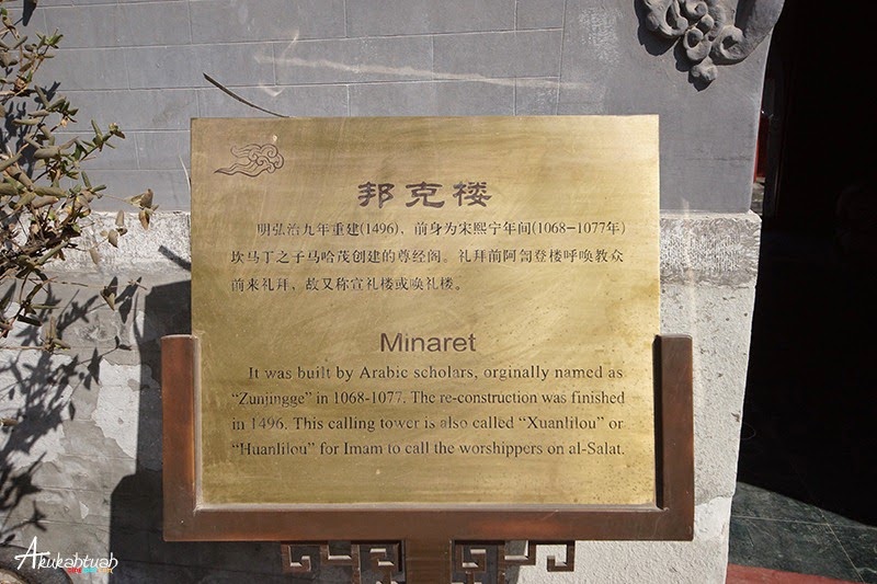 DSC02556 2 DSC02556 2
