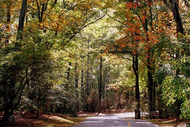 [fall%2520in%2520callaway%255B3%255D.jpg]