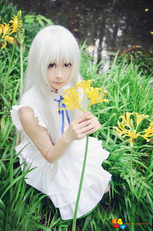 Cosplay cô nàng xinh đẹp Meiko