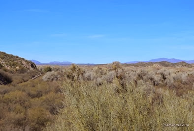 The view from Lyke's Lookout