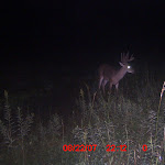 ICAM0076.JPG