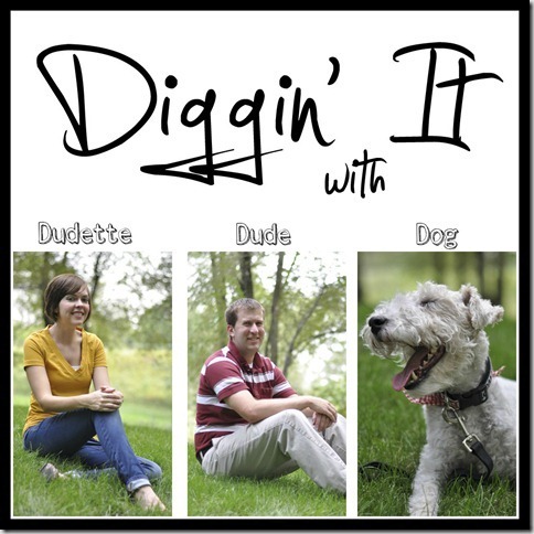 Digginit-copy2-copy_thumb2_thumb