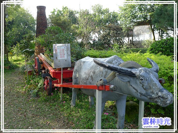 慈園內的牛