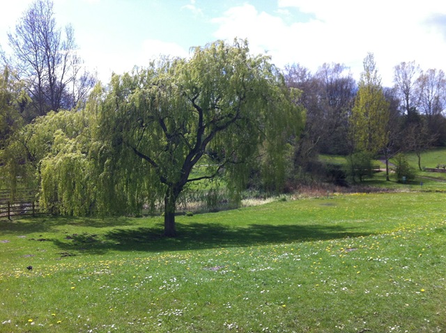[Photo%252008-05-2012%252013%252019%252021%255B3%255D.jpg]
