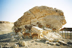 p1236838012(5).jpg