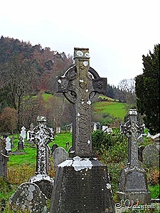 [SAM_17774.jpg]