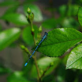 IMGP1039.JPG