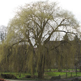 PottenhausenBielefeld Galerie