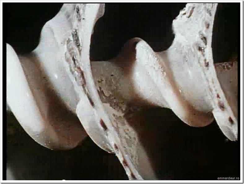 jan svankmajer historia naturae emmerdeur_35 jan svankmajer historia naturae emmerdeur_35