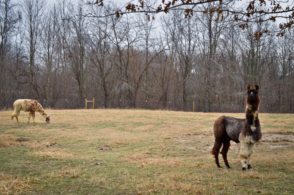 [DSC_9725%255B4%255D.jpg]