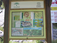 IMG_4785.JPG Photo