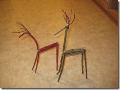 IMG_5395 IMG_5395