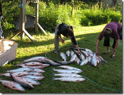 IMG_5658 IMG_5658