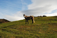 Ruta La Cobertoria - Prau Llaguezos - Gamoniteiru 13-04-2013 013 [1024x768].jpg Photo