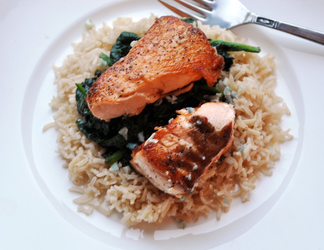 salmon 1200 salmon 1200