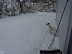Shopper Stopper - Blizzard of '09