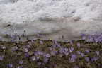 DSC03269.JPG