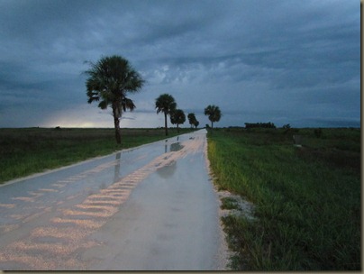 rain on prairie