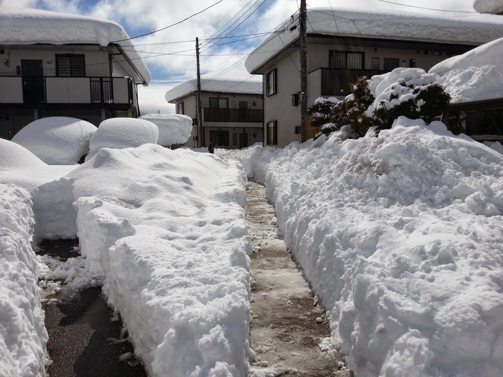 [IMG_20140215_110113%255B4%255D.jpg]