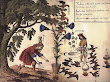 The Mine Of Our Mercury Is Our Saltpetre Not That Of The Vulgar From Cabala Mineralis Manuscript