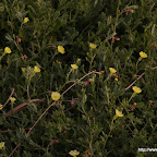 _IGP0290.JPG