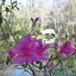 View album View album