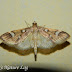 Dscn3698