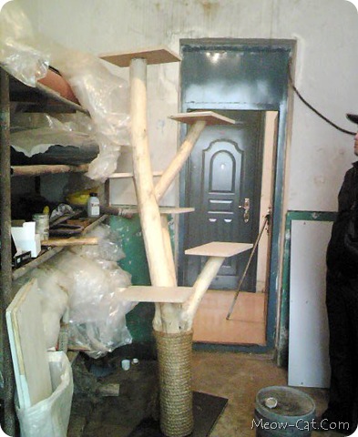 building your own cat tree 7 building your own cat tree 7
