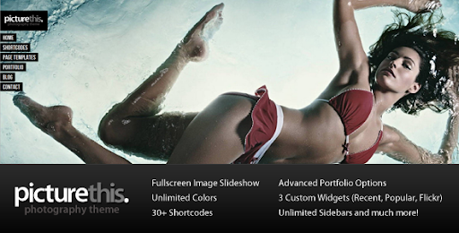 PictureThis - Fullscreen Portfolio WordPress Theme - ThemeForest Item for Sale