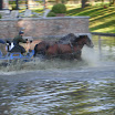 DSCN4859.JPG