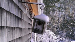 Blizzard 2.9.2013 bird house w icicles Blizzard 2.9.2013 bird house w icicles