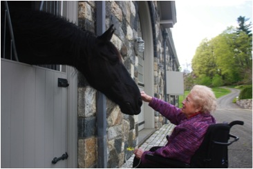 Mom petting a horse at Martha's barn.