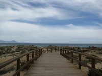 IMG_2970 IMG_2970